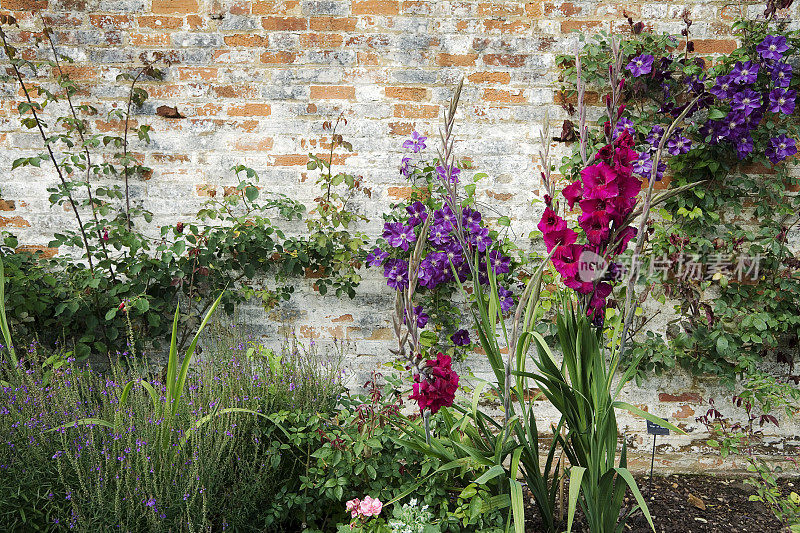 莫蒂斯方特的英国围墙花园