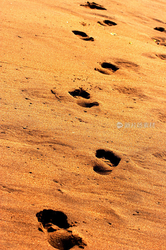 的足迹