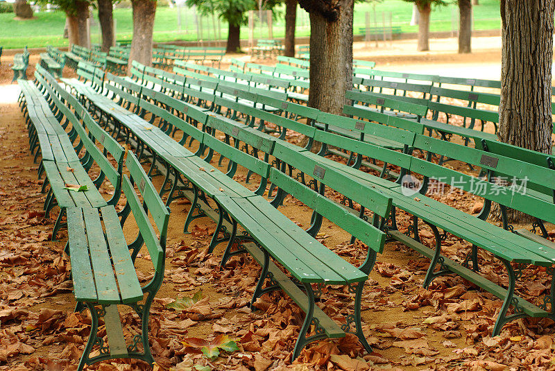 秋天的颜色:公园里的绿色长椅