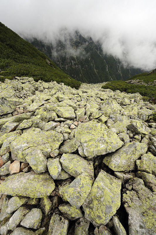 波兰塔特拉山脉的岩石滑坡