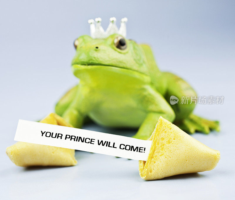 青蛙王子与幸运饼干信息