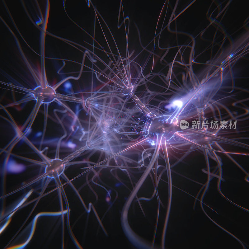 神经元细胞网络方格
