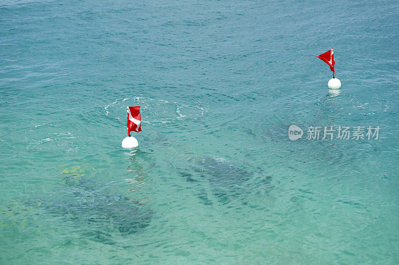 在加勒比海浮标下面的潜水员