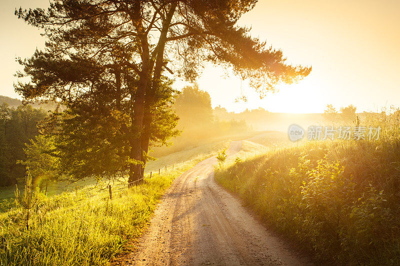 乡村道路穿过雾霭风景-多彩的日出