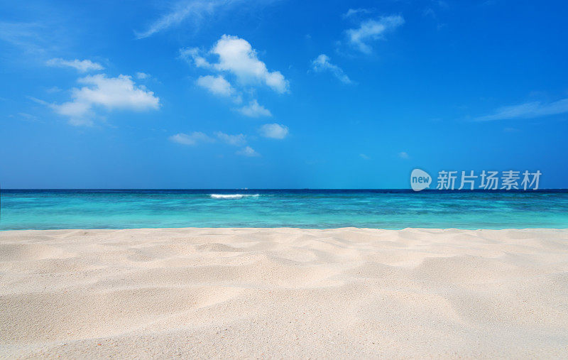 热带海滩沙丘背景