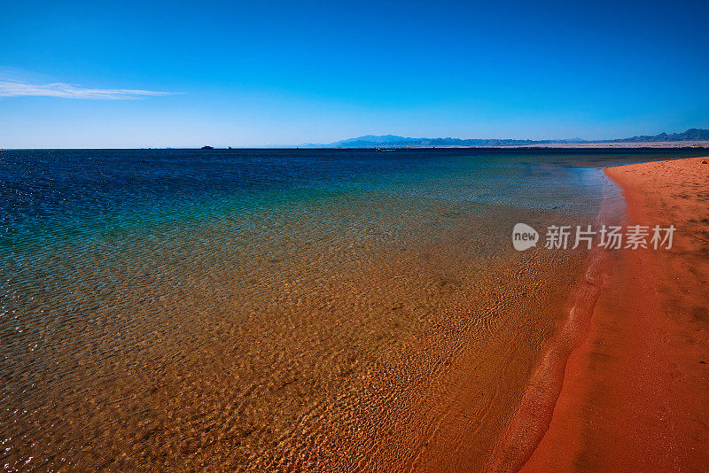 夏日的海滩上