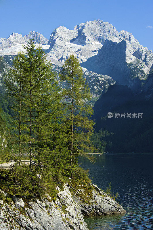 “湖Gosausee&quot;夏天有达赫斯坦山和冰川