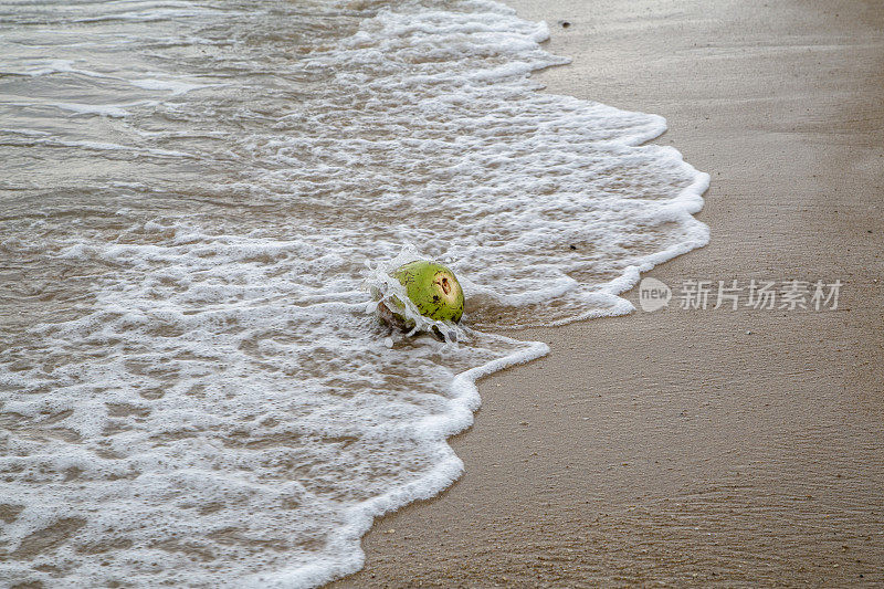 沙滩上椰子，海浪冲刷