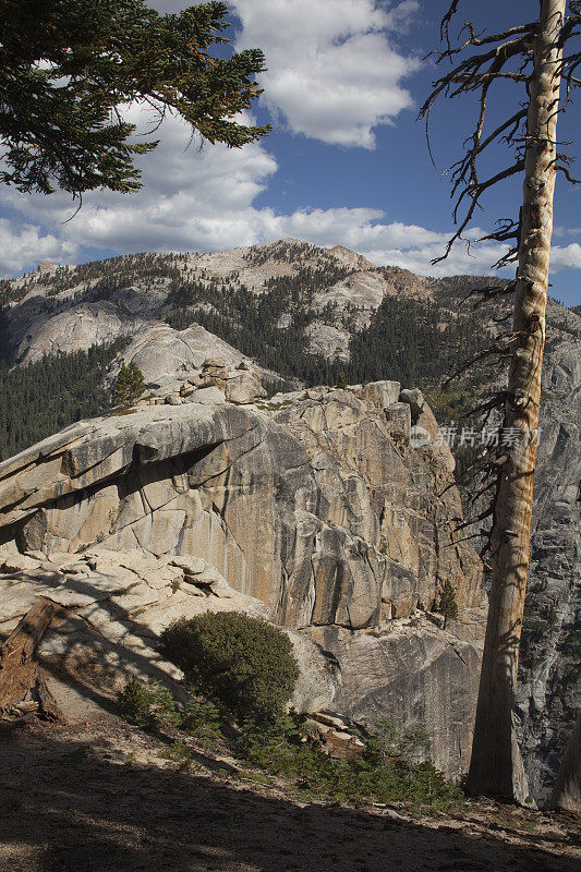 加州托科帕山谷红杉国家公园的花岗岩悬崖