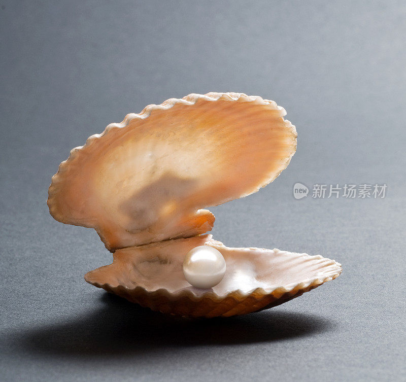 牡蛎壳中的珍珠