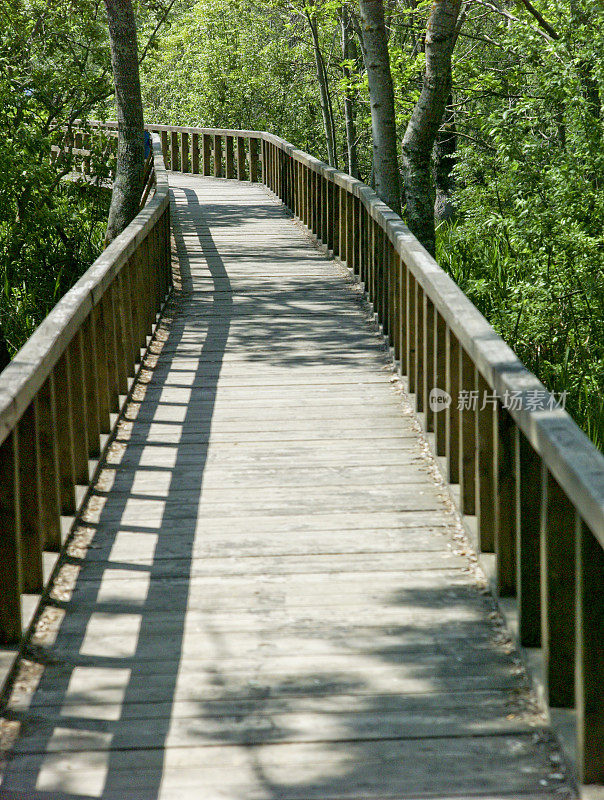土耳其sakarya自然公园的木制步行平台
