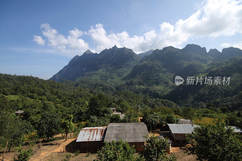 丛林山村