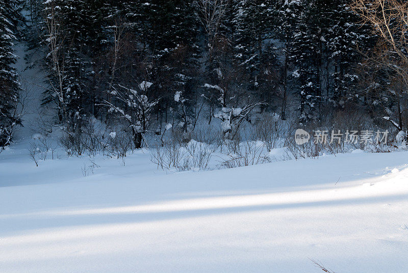 深的雪