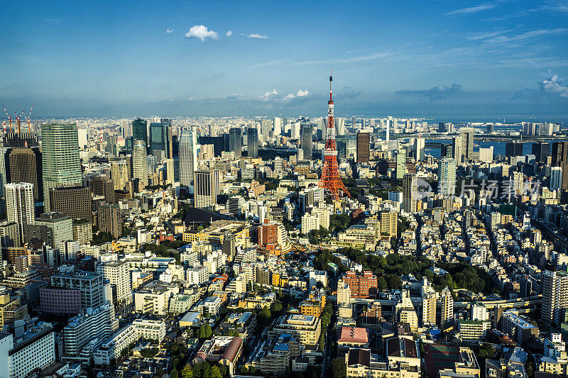 东京鸟瞰图