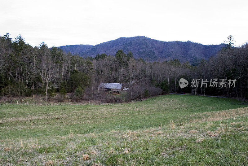 卡迪斯湾,田纳西