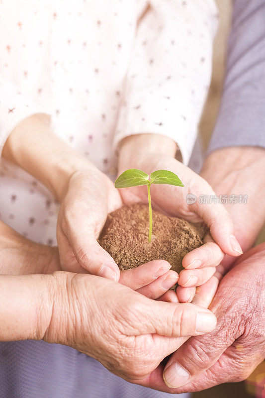 亲情:手握植物