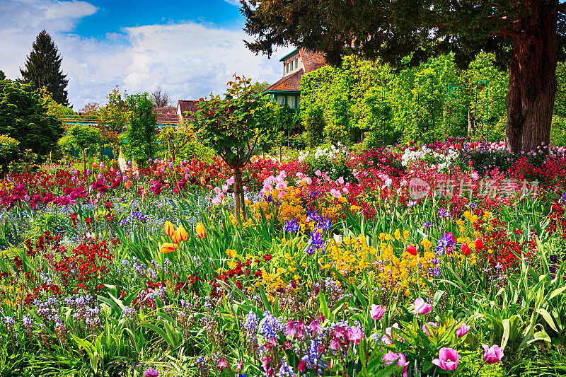 法国吉维尼的春天花园
