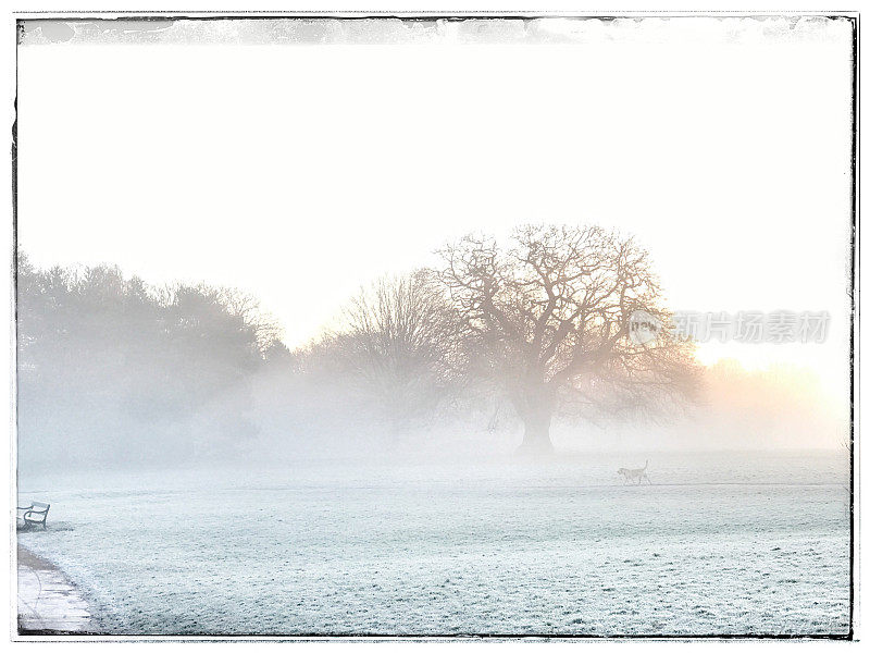 英国一个公园里冬天寒冷的早晨
