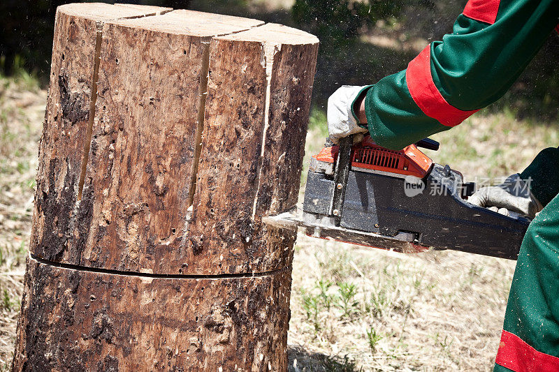 伐木工人正在砍树干