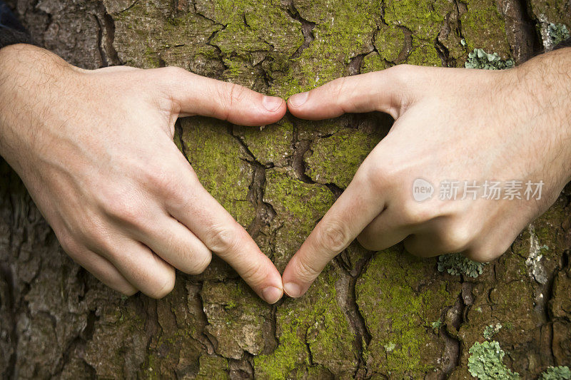 手放在树干上，呈心形。