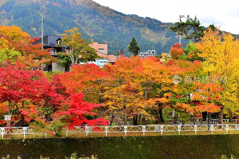 青森县黑石的中野百山秋叶