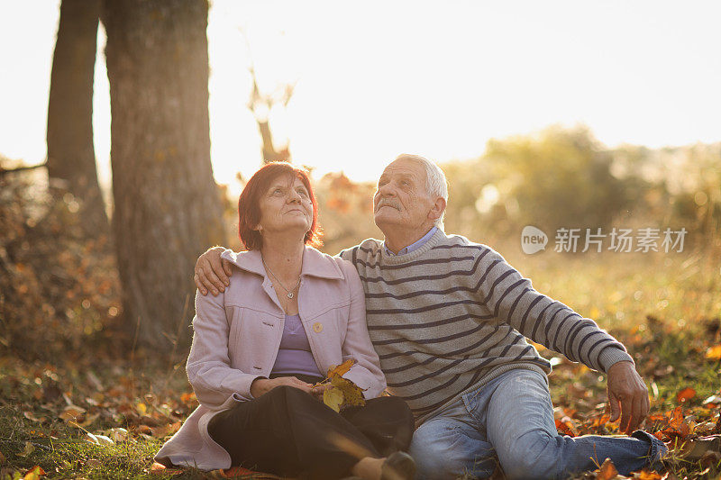 在阳光明媚的秋日，一对老年夫妇在大自然中