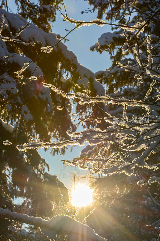 寒冷下雪天的明媚阳光