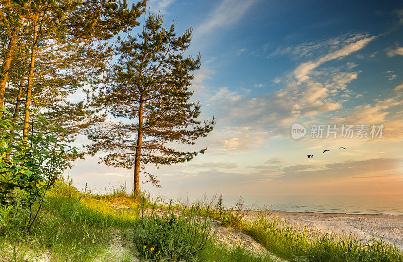 夏日海滨风光，波罗的海