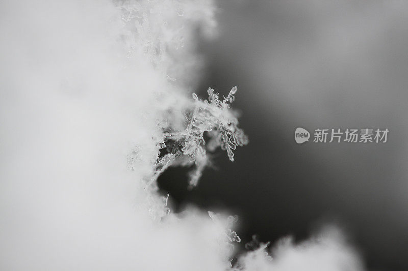 雪晶体近宏