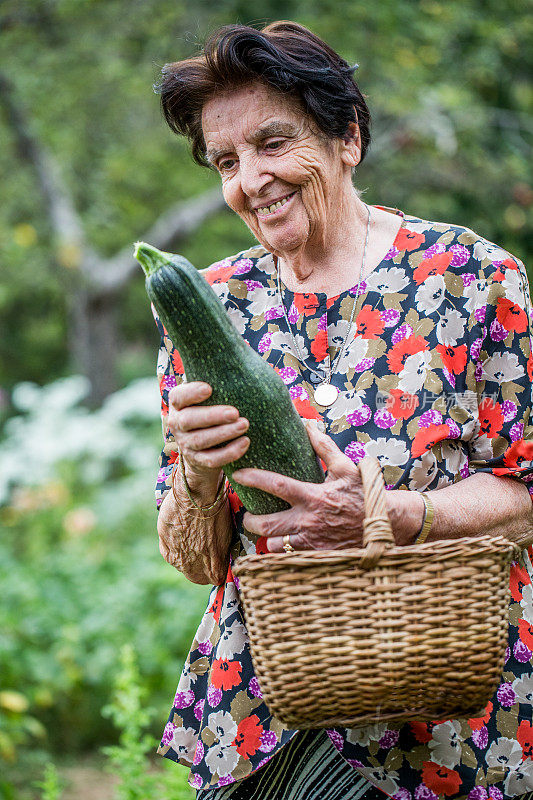 老女人在花园里拿着小胡瓜和木篮子