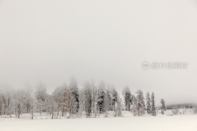 冬天，湖面被雪覆盖，雾气缭绕。
