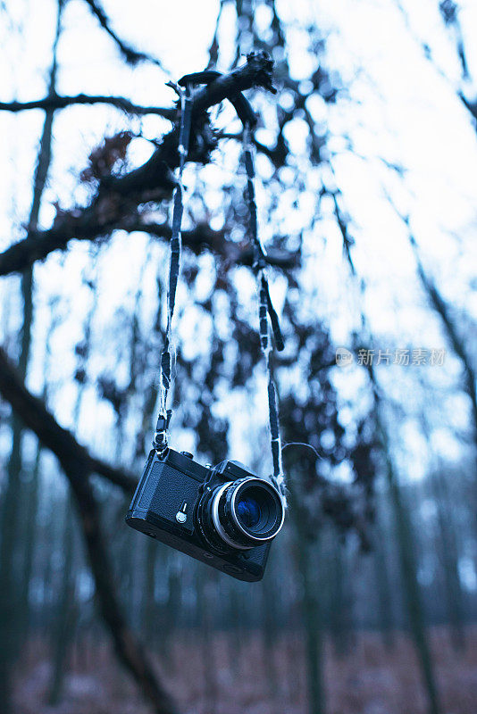丢失的古董相机挂在冬季森林的树上。