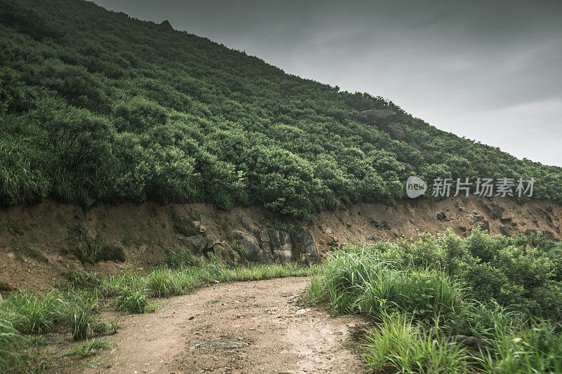 岩石路在阴天与轮胎印汽车商业