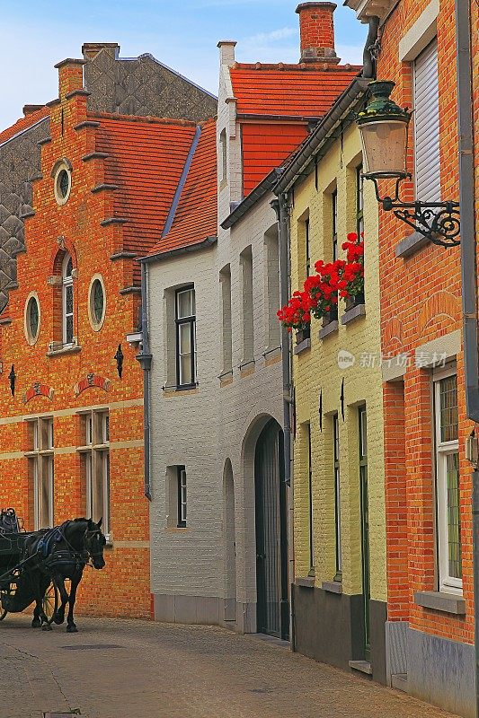 马车马和典型的比利时街道在布鲁日-中世纪古城-比利时