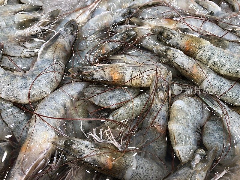 海鲜市场的鲜虾