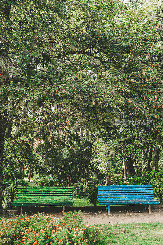 绿色公园里的长椅