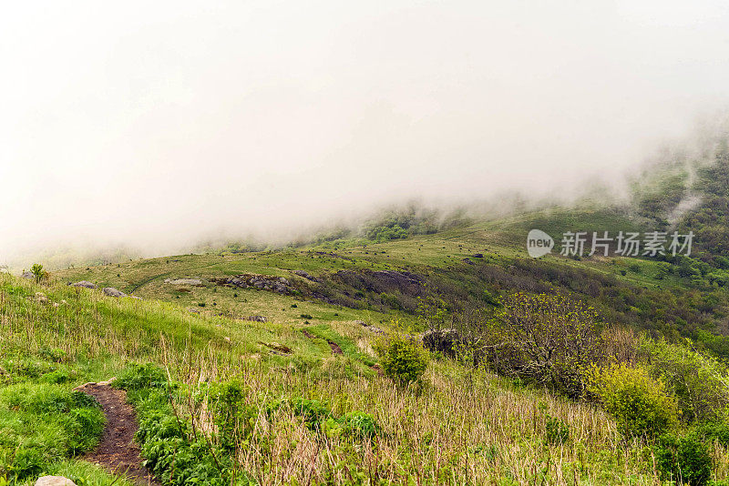 阿帕拉契亚山脉小道