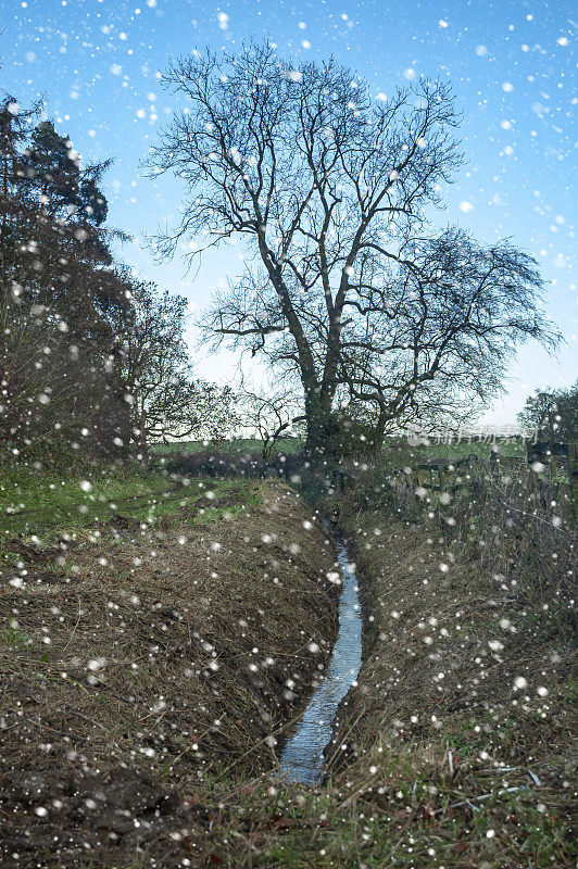 在英国的冬天，雪落在树上和堤坝上。