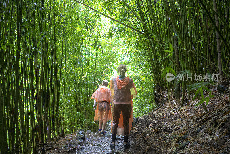 茂宜岛皮皮瓦伊小径上的徒步旅行者