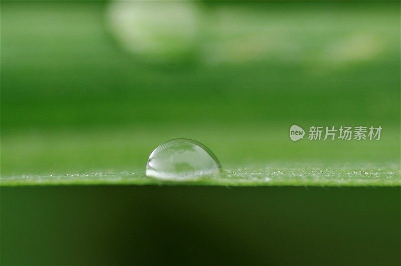 雨下降