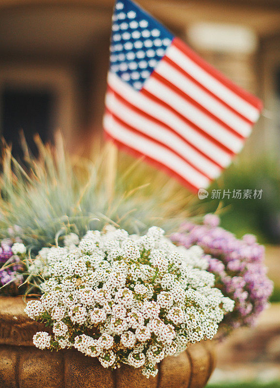 大自然中的美国国旗上有白色的小花和复制空间