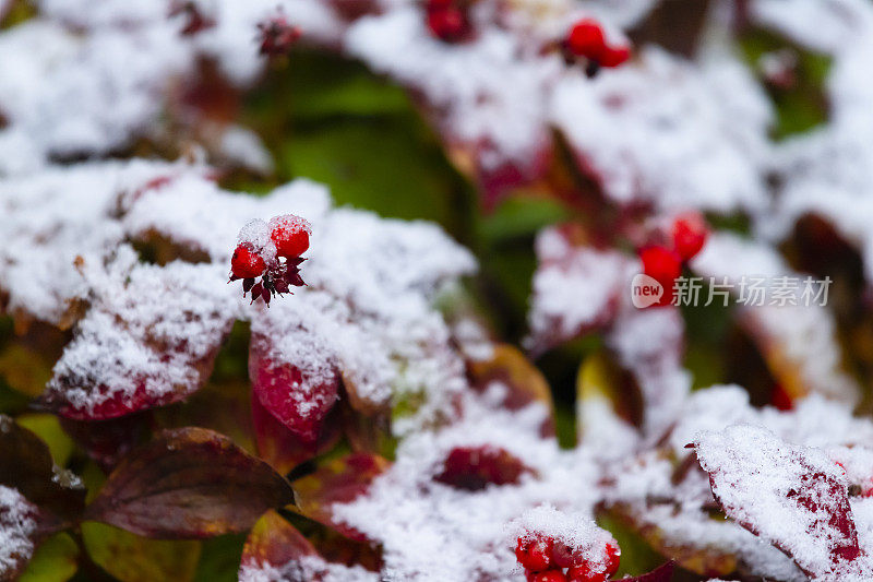 初雪，立冬