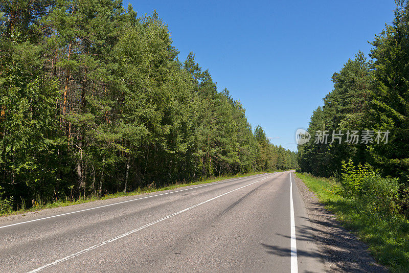 沥青双车道公路穿过森林