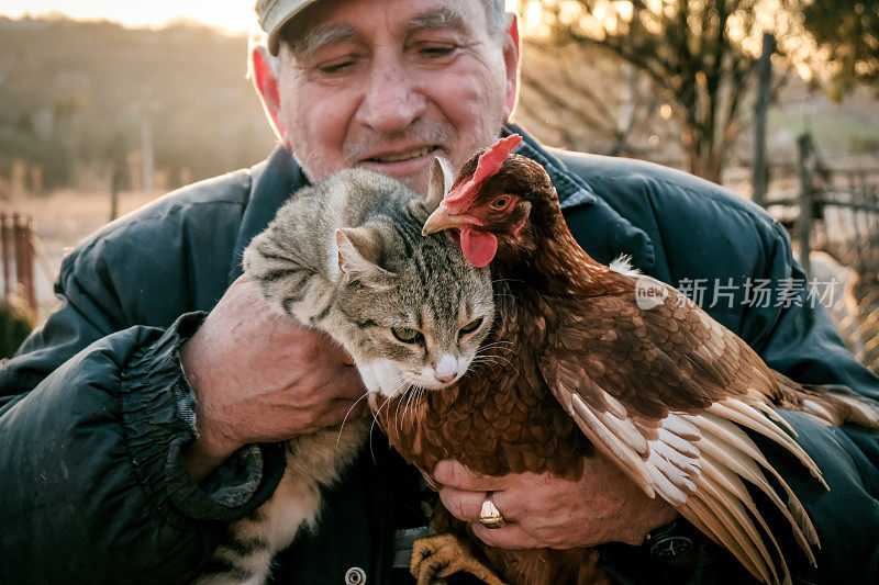 老农手里拿着鸡和猫