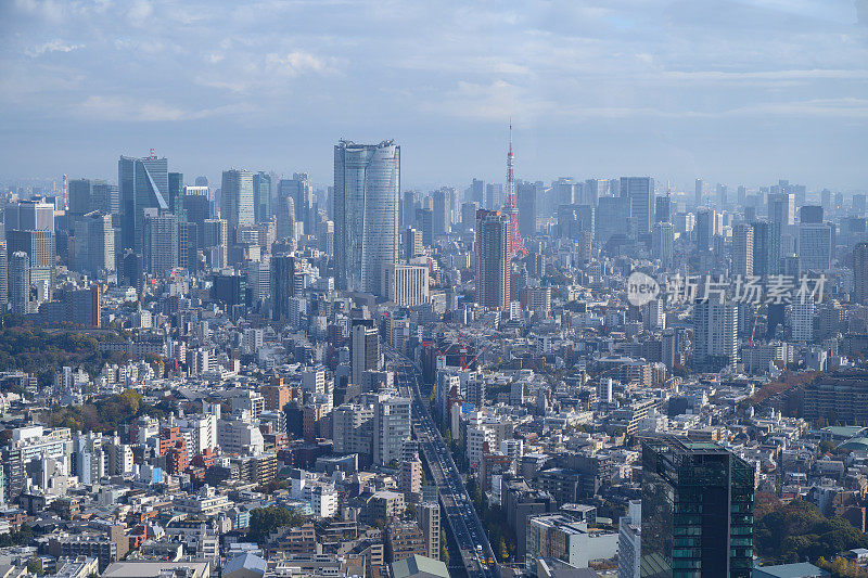 俯瞰东京,日本