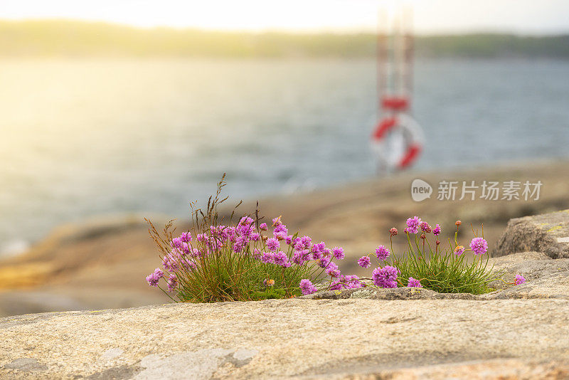 海上节俭和救生圈