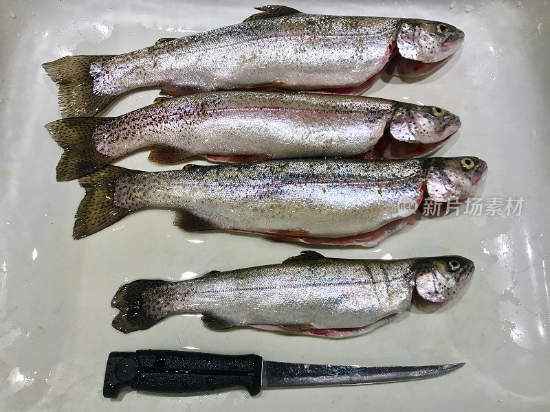 虹鳟鱼湖，作为西科罗拉多州食物准备的一部分