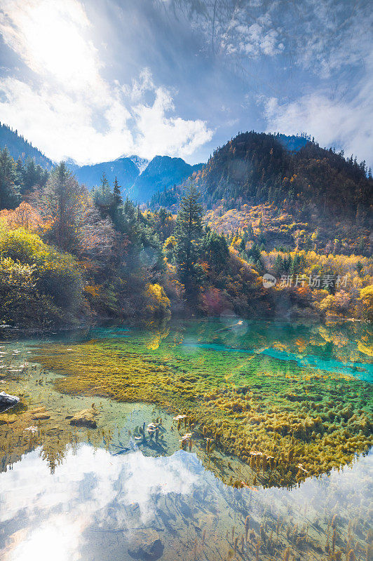 在九寨沟自然(九寨沟国家公园)，中国九寨沟秋林之间的五花湖晶莹剔透的水和美丽的风景