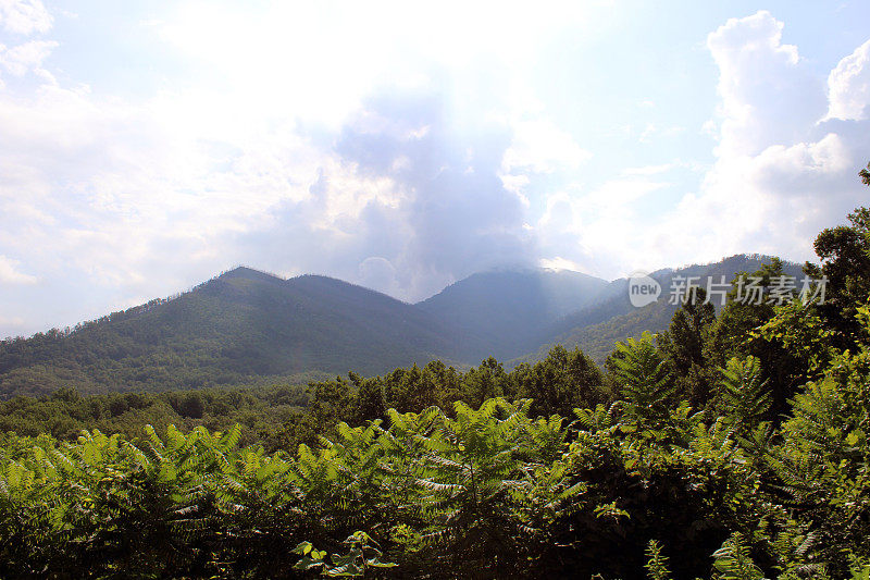 加特林堡附近的大烟山