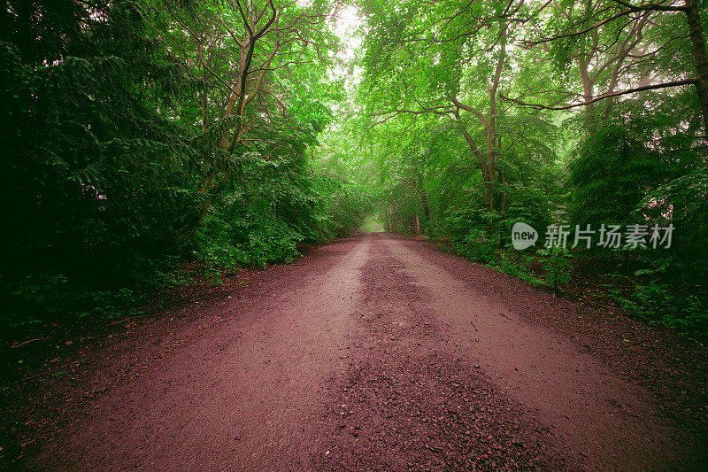 林地路径